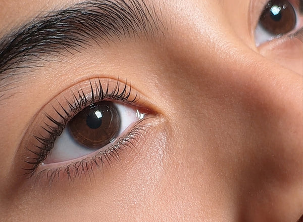 Lash Lift