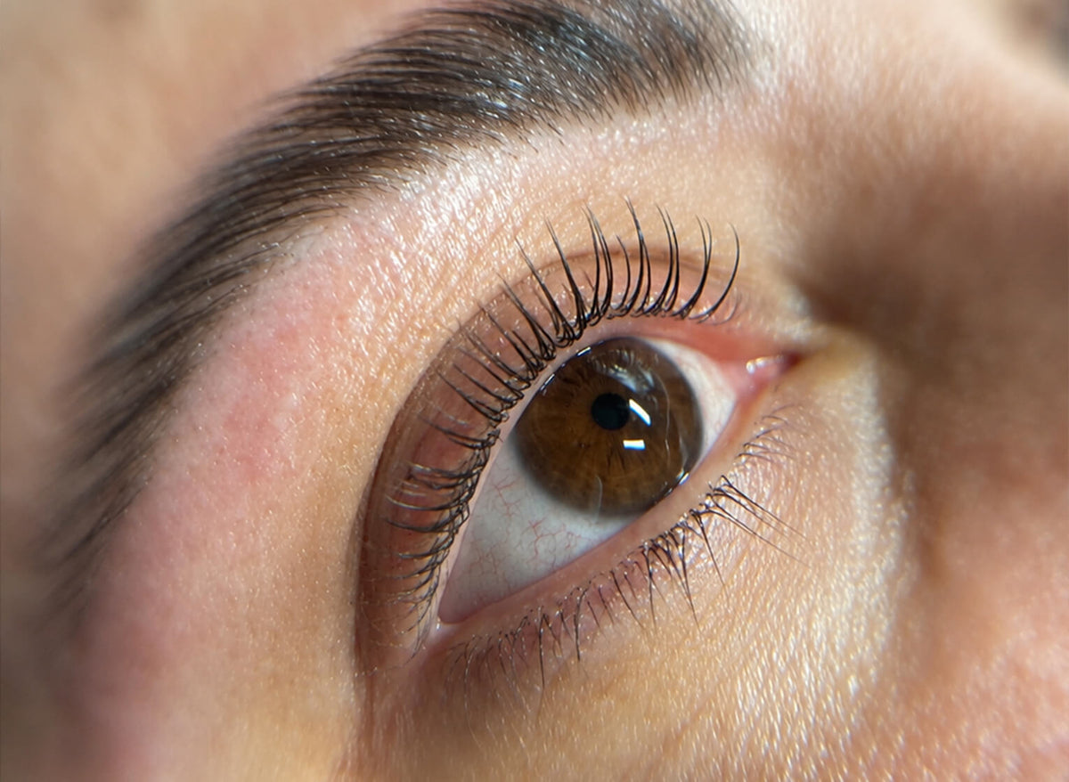 Lash Lift